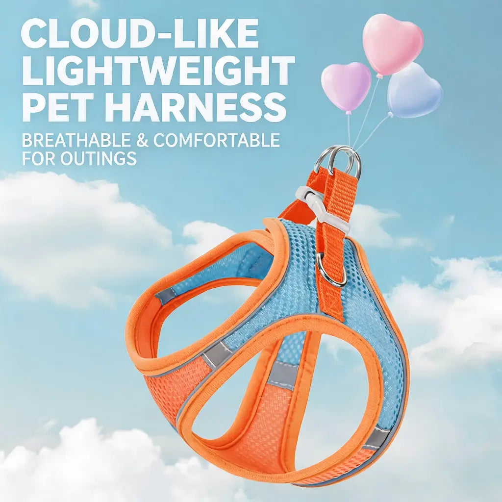 Spoiled Paws Adjustable Pet Safety Belt & Strap Set - Solid Lightweight Harness, Non-Customized Stainless Steel Martingale Collar, Breathable Mesh Accessory for Hiking/Light Outdoor, Everyday Use (1 Size, Machine Washable, Collars Included)