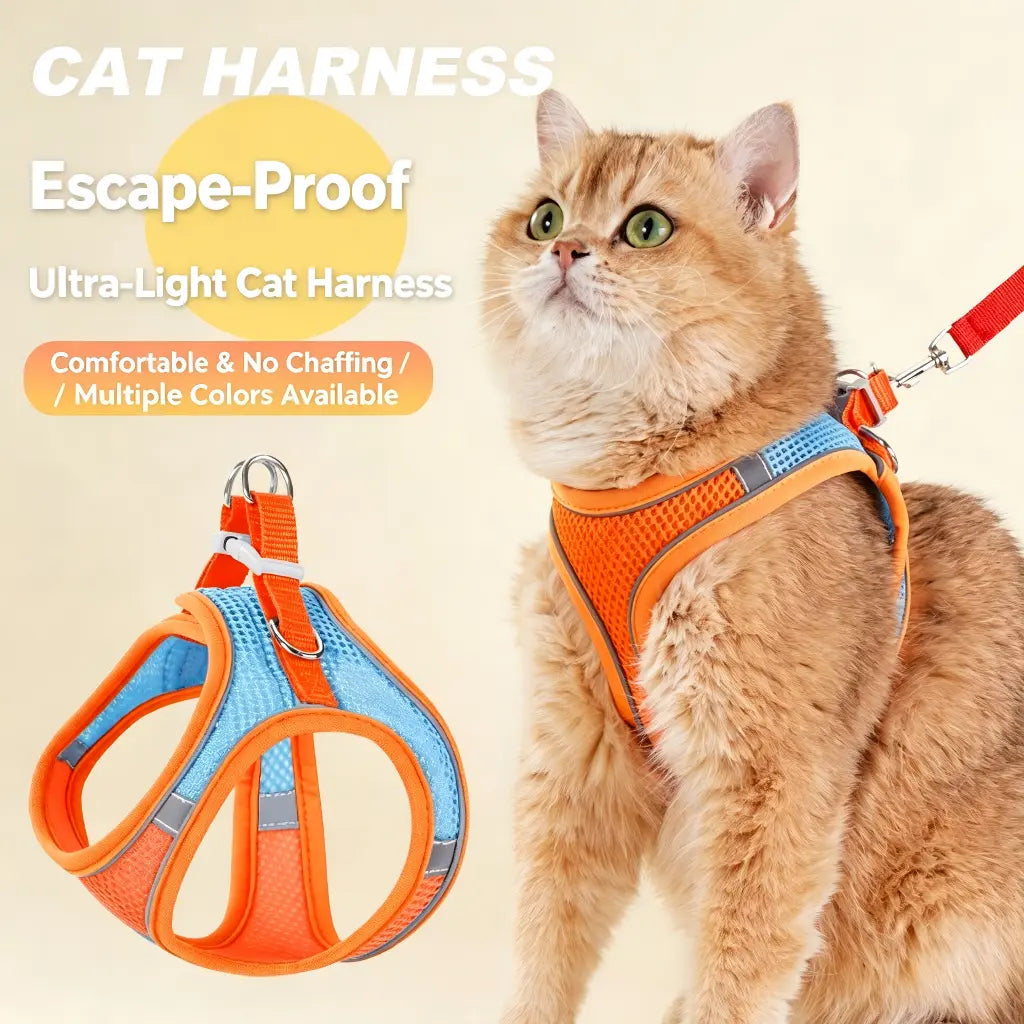 Spoiled Paws Adjustable Pet Safety Belt & Strap Set - Solid Lightweight Harness, Non-Customized Stainless Steel Martingale Collar, Breathable Mesh Accessory for Hiking/Light Outdoor, Everyday Use (1 Size, Machine Washable, Collars Included)
