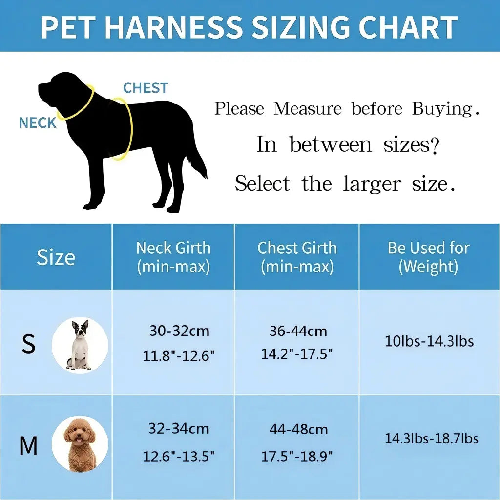 Spoiled Paws Adjustable Pet Safety Belt & Strap Set - Solid Lightweight Harness, Non-Customized Stainless Steel Martingale Collar, Breathable Mesh Accessory for Hiking/Light Outdoor, Everyday Use (1 Size, Machine Washable, Collars Included)