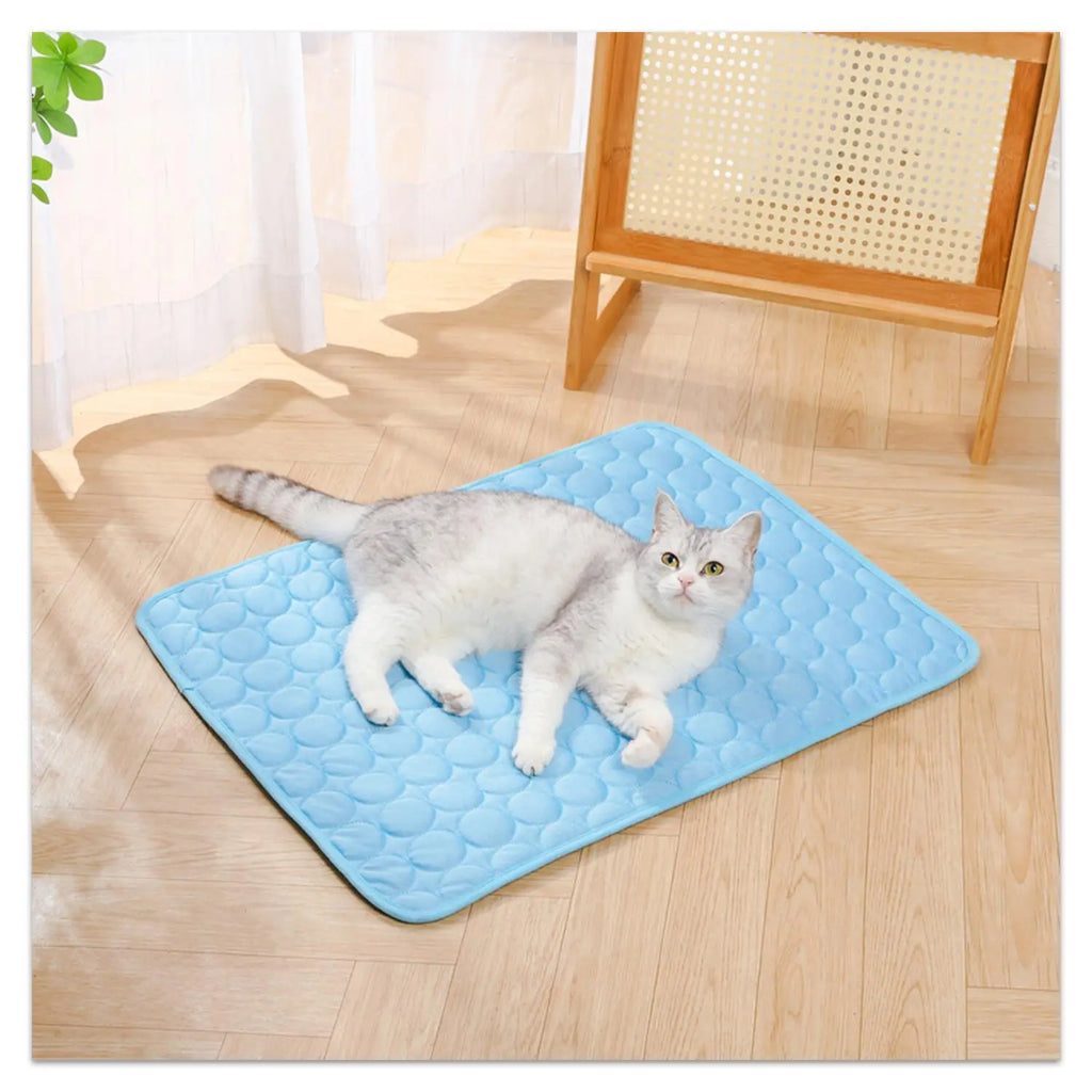 Dog Cooling Mat, Pet Cooling Mat for Dogs Cooling Blanket Pad for Kennels, Crates, Cars, Indoor & Outdoor Ice Silk (Blue, L(28 * 22"))