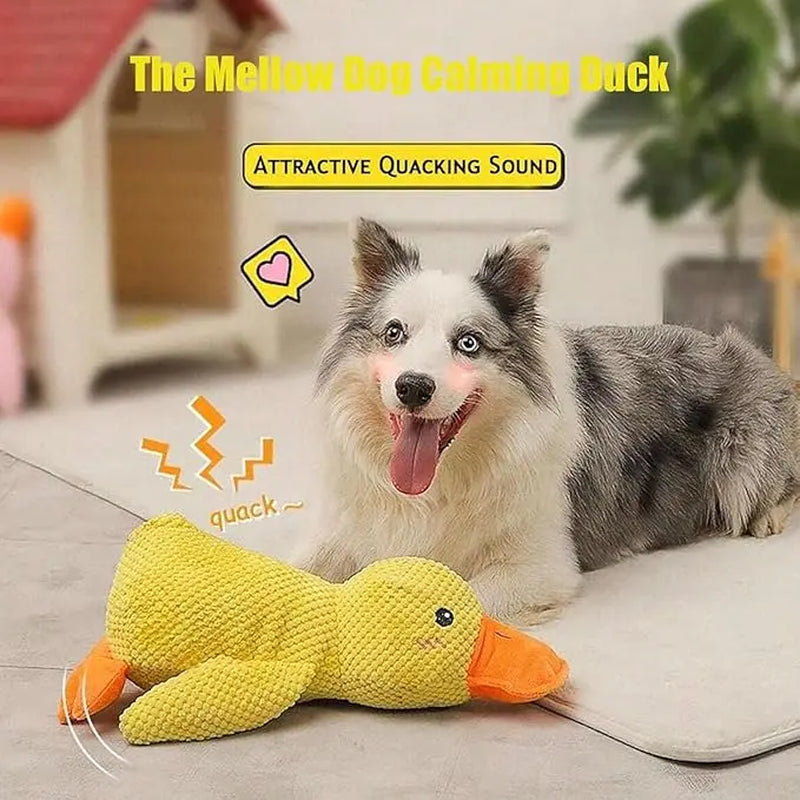 Squeaky Duck Playful Plush Dog Toy - Ultra-Soft Corduroy Tug Chew Toy with Built-In Sound, Durable Safe Interactive Plaything for Dogs & Puppies, Playful Plush Toys, Tug Plush Toys