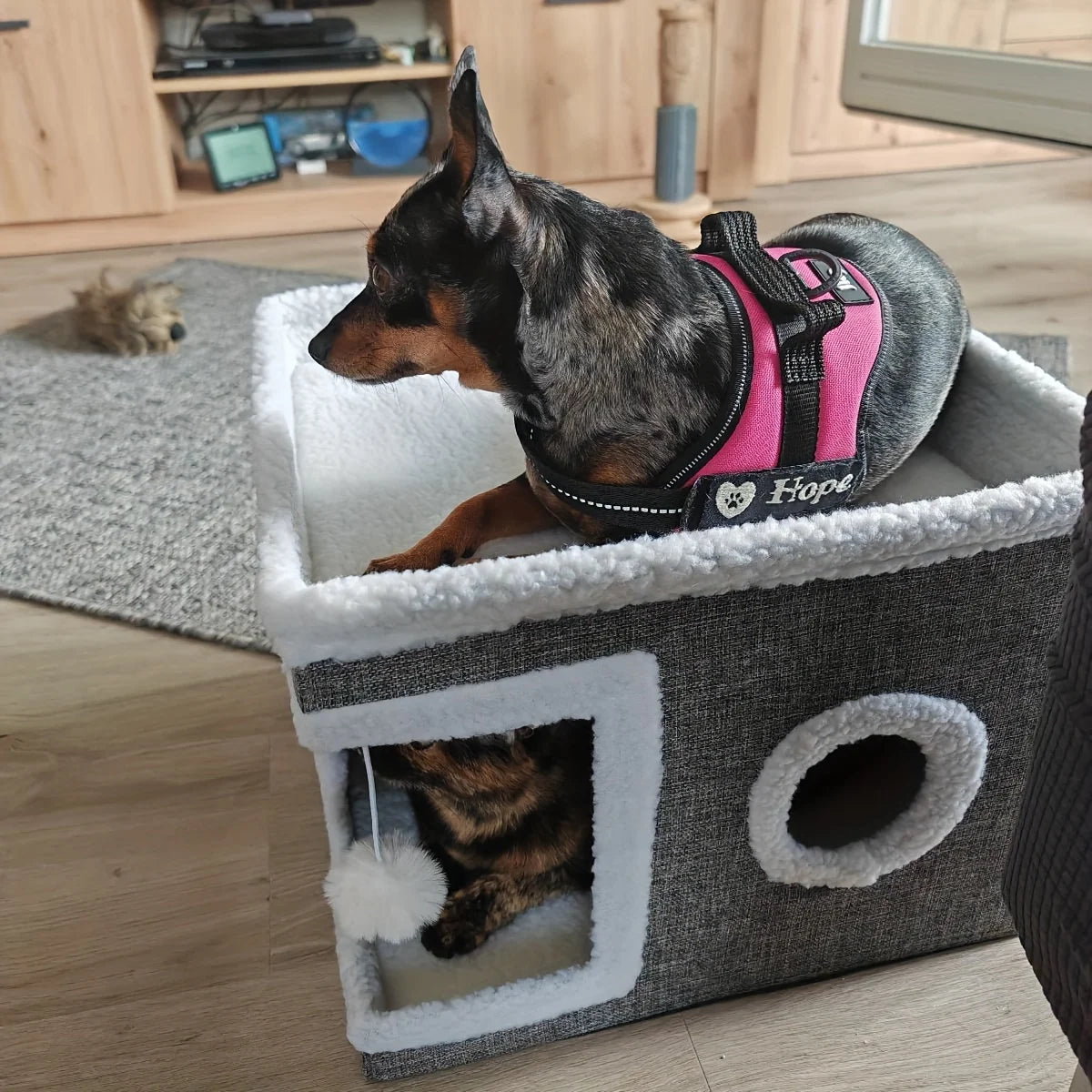 Pawlix™ Cat House