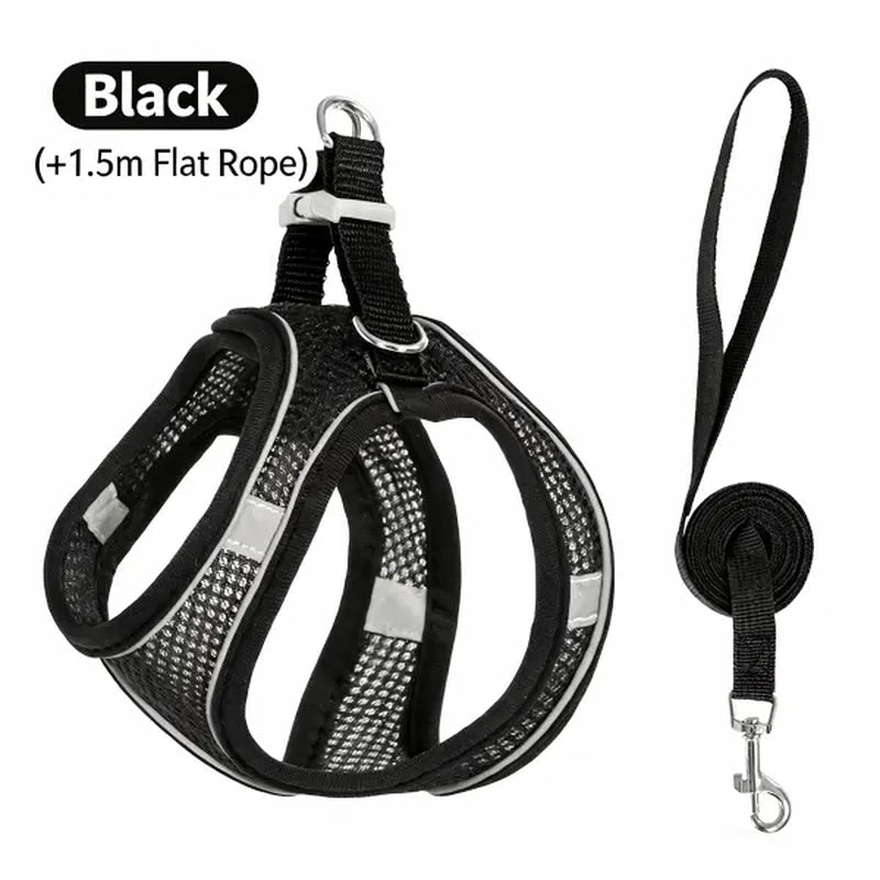 Spoiled Paws Adjustable Pet Safety Belt & Strap Set - Solid Lightweight Harness, Non-Customized Stainless Steel Martingale Collar, Breathable Mesh Accessory for Hiking/Light Outdoor, Everyday Use (1 Size, Machine Washable, Collars Included)