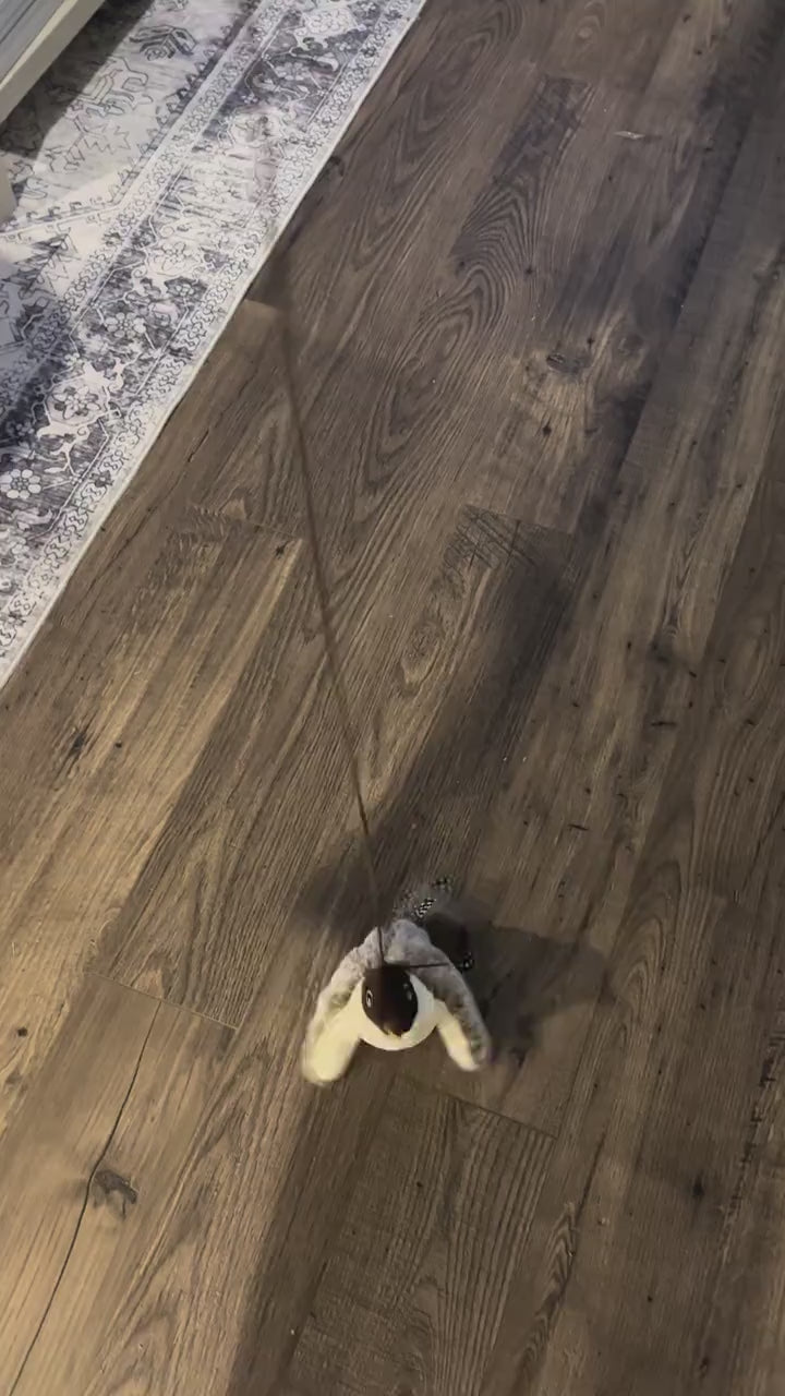 BirdBuddy™ Interactive Cat Toy
