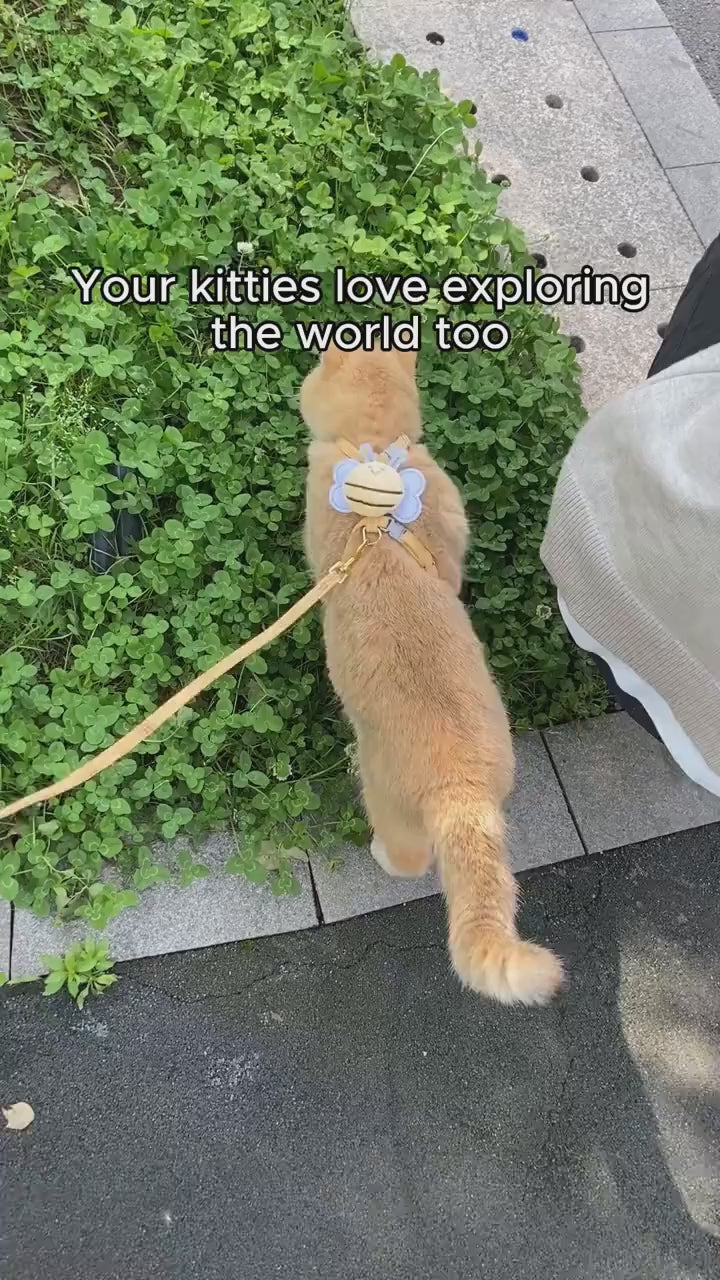 BeeSafe™ | Cat Harness & Leash Set