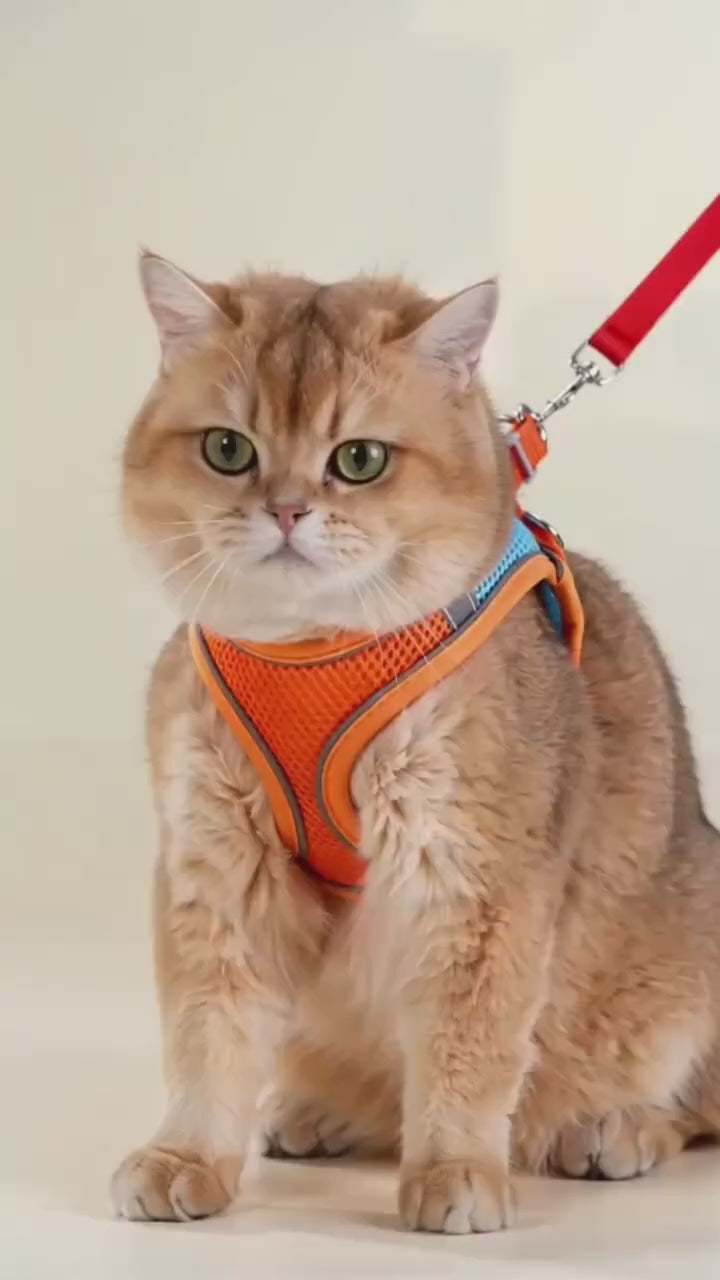 PurrWalk™ | Escape-Proof Cat Harness