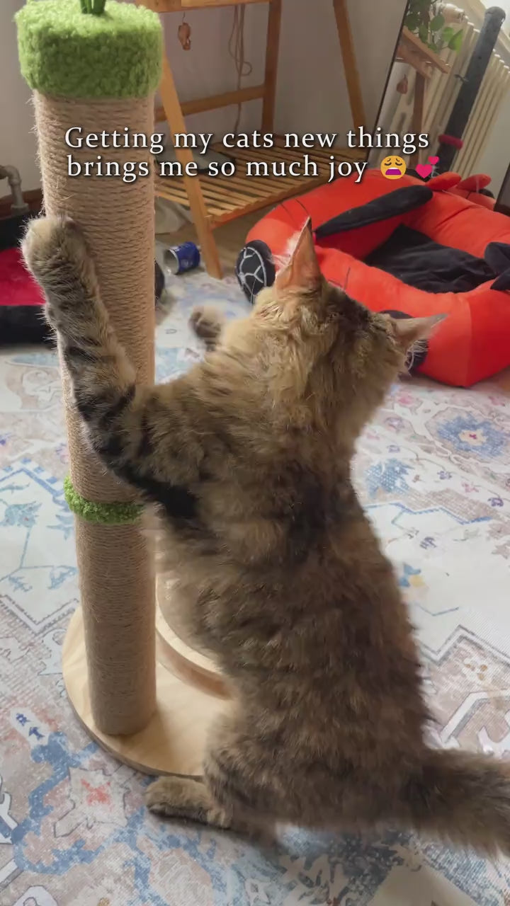 PurrBloom™ | Flower Scratching Post
