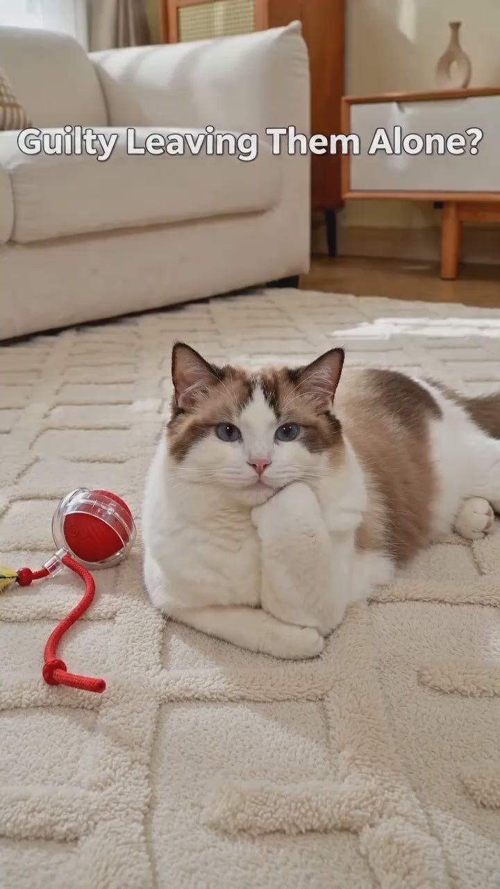 RoverBall™  Interactive Rolling Cat Ball