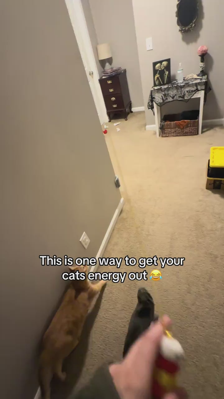 PurrFly™ | Interactive Flying Feather Toy
