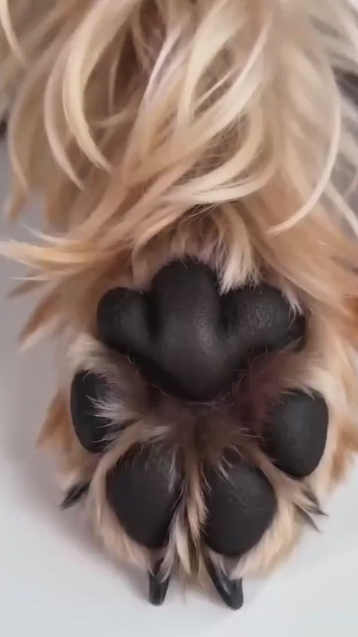 PawShield™ | Breathable Dog Boots