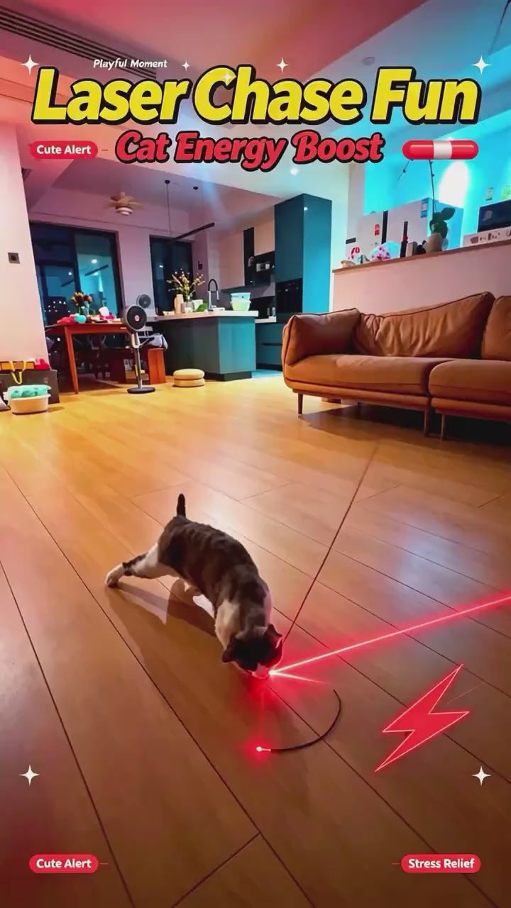 CarrotChase™ | Smart Laser Cat Toy