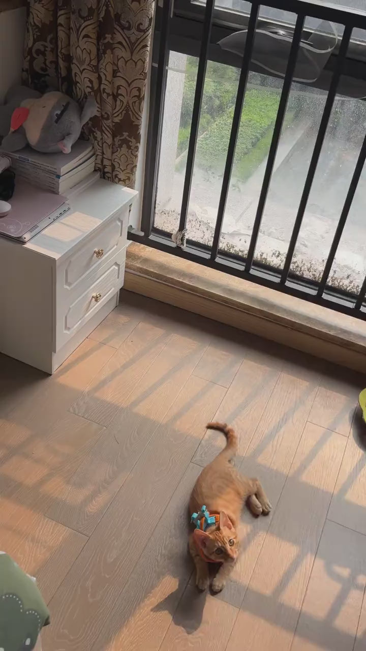 PurrTunnel™ | Interactive Cat Play Tunnel
