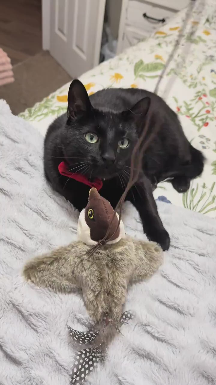 BirdBuddy™ Interactive Cat Toy