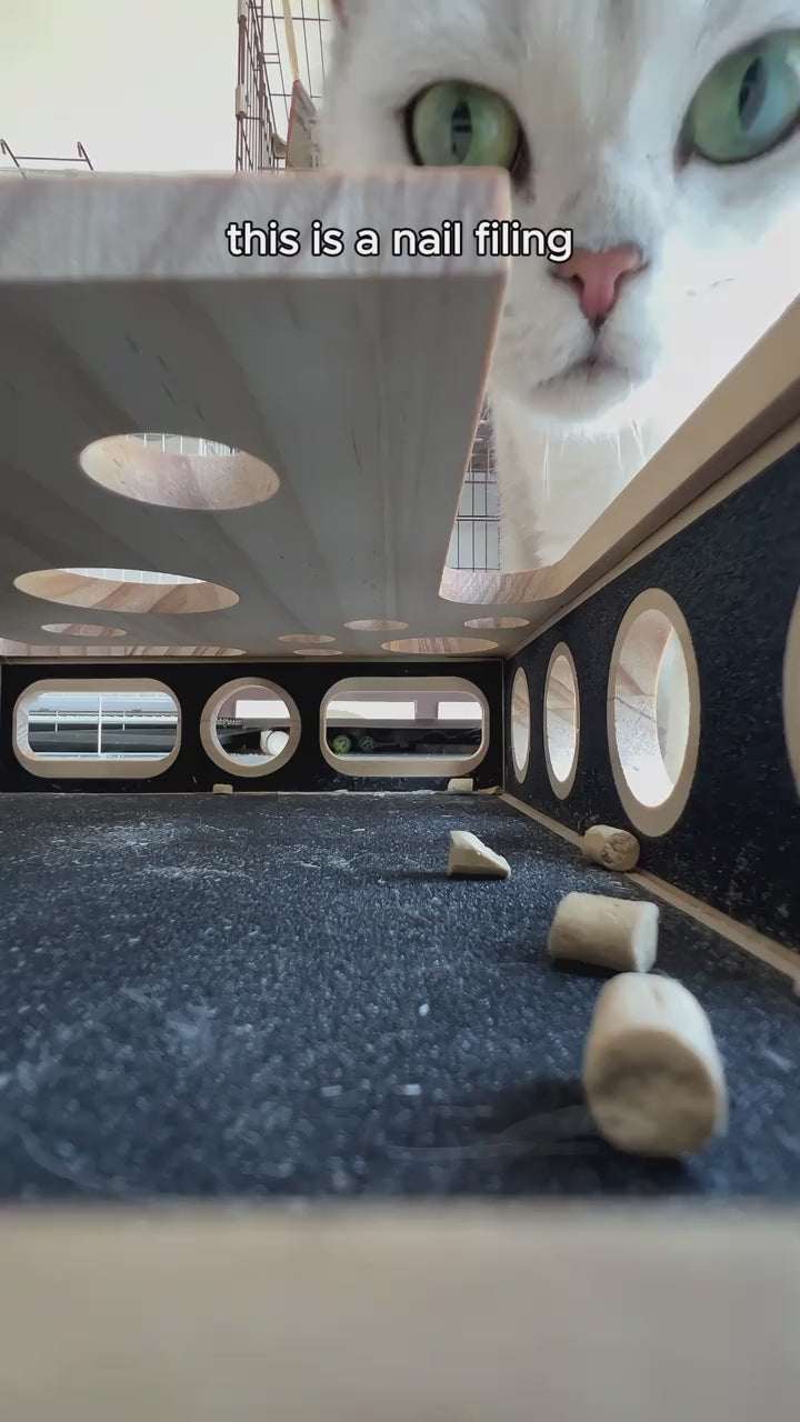 PurrTrim™ | Cat Nail File Box