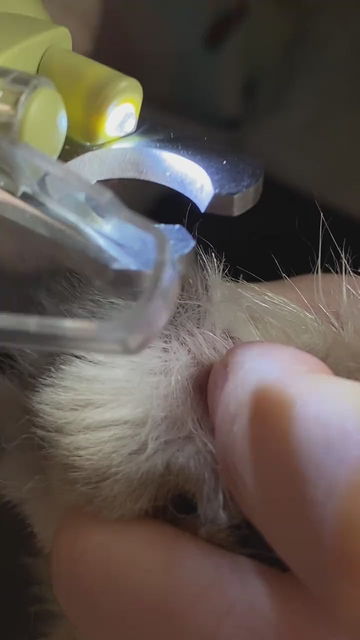 PawTrim™ Pro | LED Pet Nail Trimmer