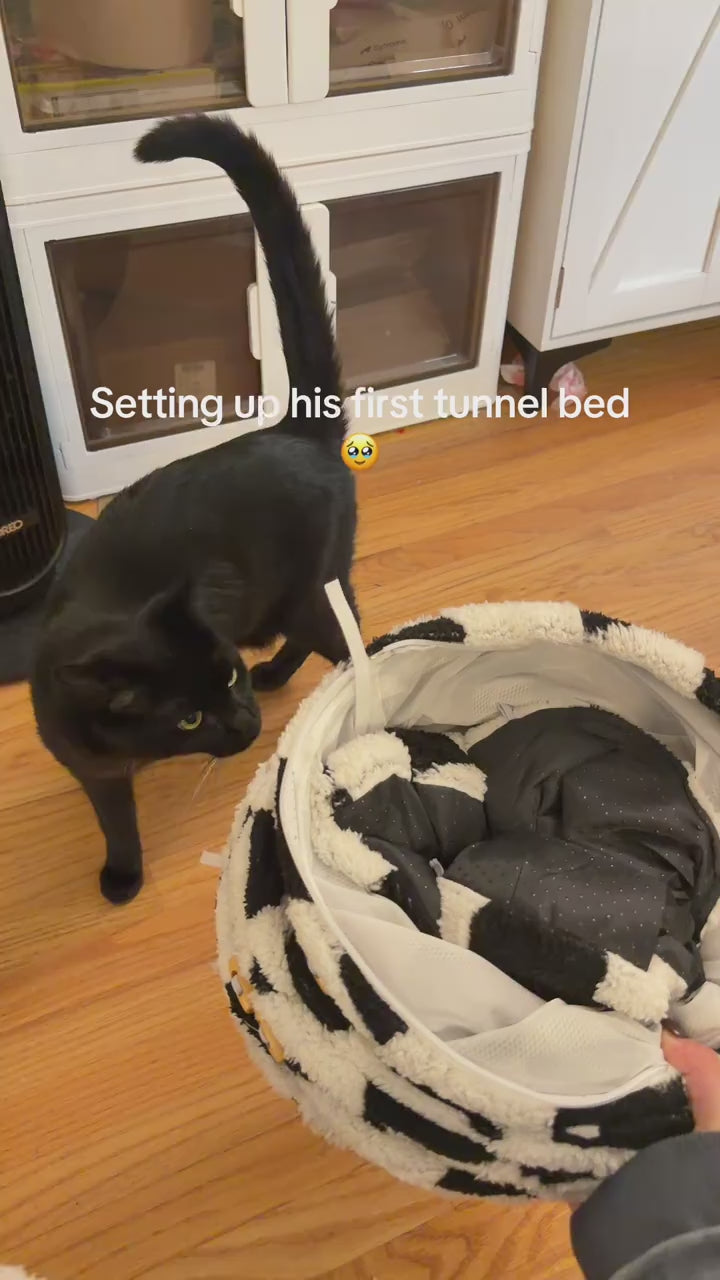 CozyTunnel™ | 2-in-1 Cat Tunnel Bed