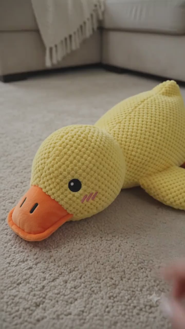 QuackBuddy™ | Squeaky Duck Dog Toy
