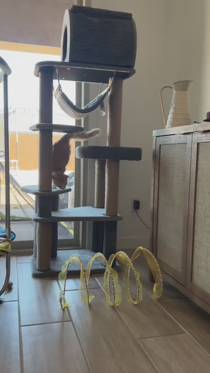 PurrTunnel™ | Interactive Cat Play Tunnel