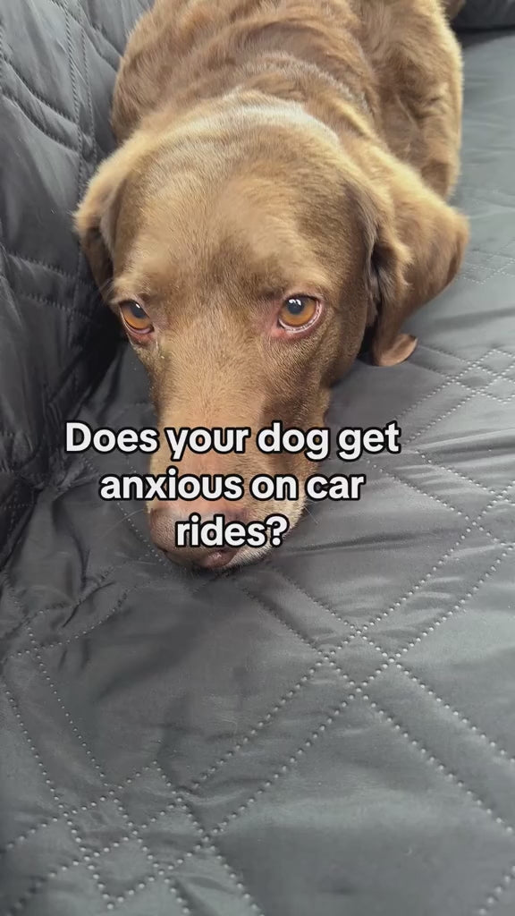 RideNest™ | Dog Car Seat Hammock