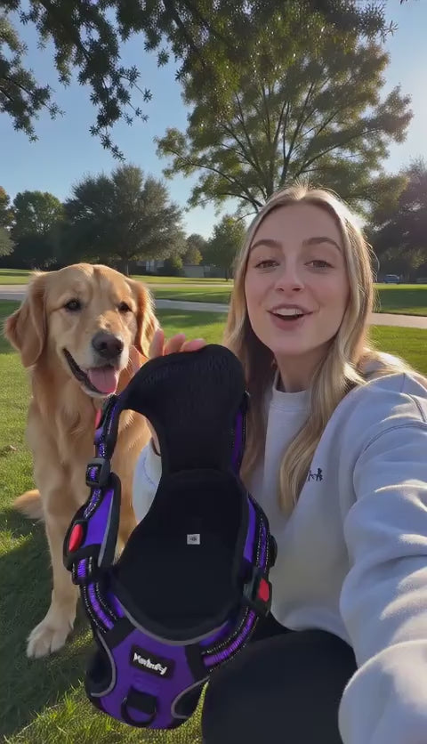 PawWalk™ | No-Pull Dog Harness Set