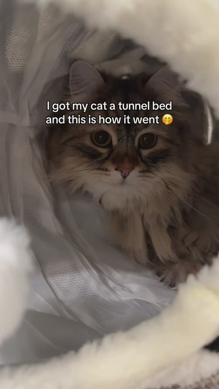 CozyTunnel™ | 2-in-1 Cat Tunnel Bed