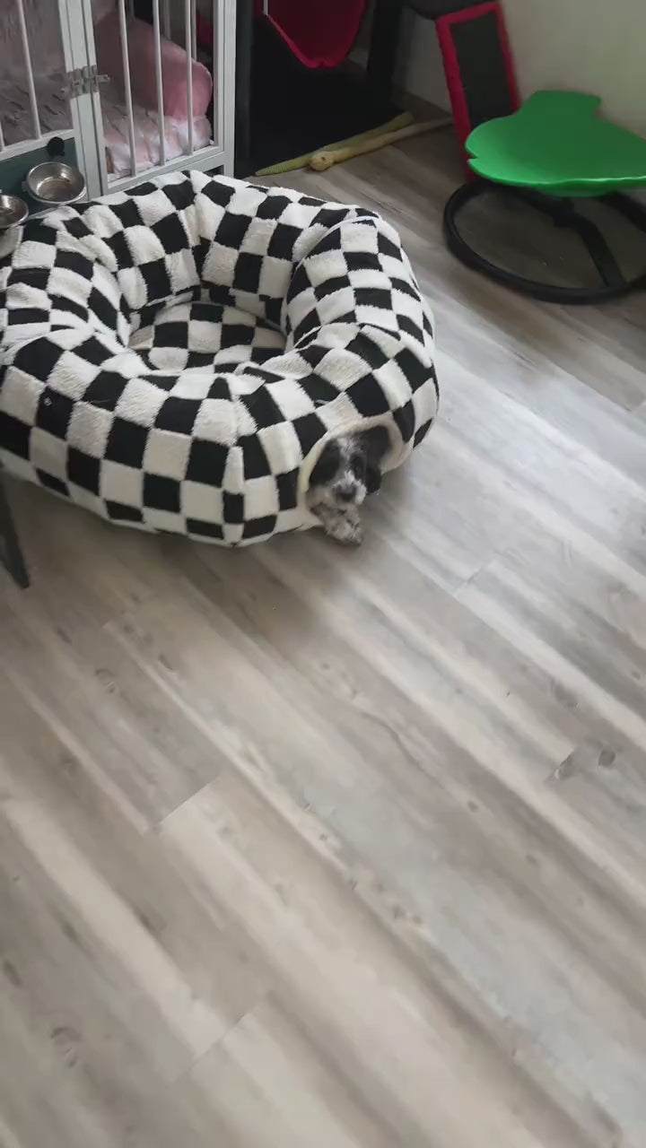 CozyTunnel™ | 2-in-1 Cat Tunnel Bed
